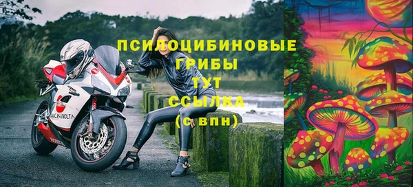 эйфоретик Алексеевка