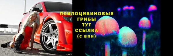 не бодяженный Алексин