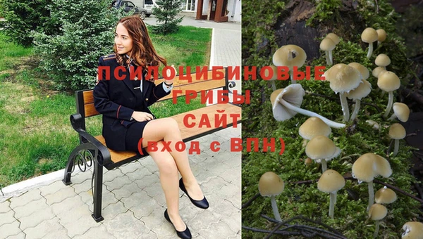 сатива Снежинск