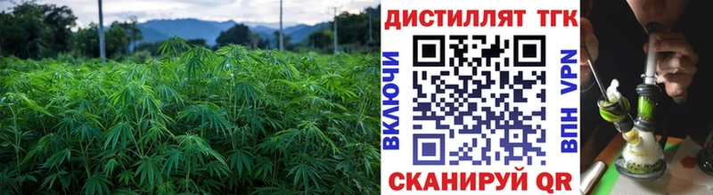 кракен зеркало  наркотики  Всеволожск  Дистиллят ТГК Wax 
