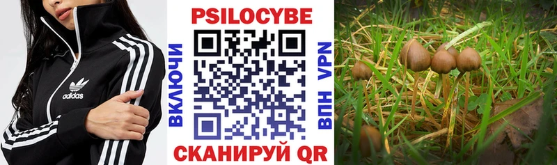 Галлюциногенные грибы ЛСД  Всеволожск 