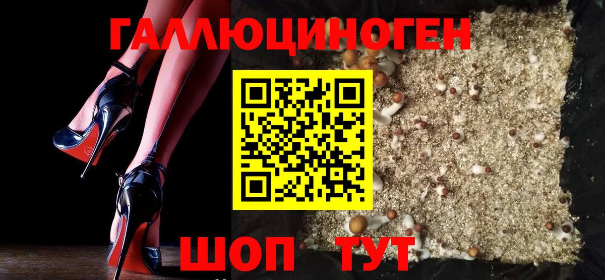 Всеволожск  Галлюциногенные грибы Psilocybe  Галлюциногенные грибы мицелий  Вход с VPN 